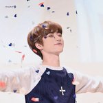 비주얼 장르가 '<b>CG</b>'라는 아이돌