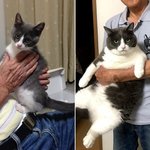 고양이 <b>확대</b>범의 무자비한 모습