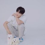 [NCT드림] 아아악 이제노 너가 <b>강쥐</b> 대장이야? ㅠㅠㅠ