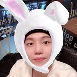 [펜타곤] 나 방금 토끼 주웠다