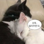 [댓글부탁해] 다들 인생에서 가장 후회되는 일 뭐임