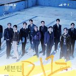 [세븐틴] 얘들아 ㅜㅜ 95 짓우 졍하니