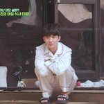 [더보이즈] ㅅㄷ 나 <b>핸드볼</b>경기장 스탠딩 갔었는데