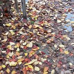 고1인데 한달<b>정돈</b> 영어 안해도돼??