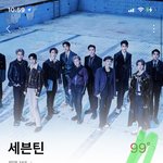 [세븐틴] 얘들아 나 총대인데