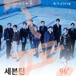 [세븐틴] 베플이랑 반<b>대수</b>만 보고