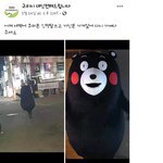 새벽에 쿠마 인형탈 가져가신 분 다시 돌려주세요