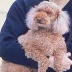 [EXO] 돈뽜잍더삘린 아아 본능대로<b>가베</b>입