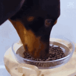 [방탄소년단] 삼촌,<b>이모들</b>~ 아침밥 꼭 챙겨먹어요!