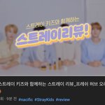 [스키즈] 네시픽 새 영상 뜸!