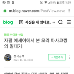 11살연상남과 결혼했던 <b>모리</b> 마사코(돈벌고일해)