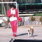 [<b>엔터</b>톡] 하이브 직원 인스타에 올라온 정국이
