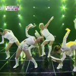 나만 길에서 <b>개보</b>면 멀리피해가냐