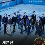 [세븐틴] ㅅㄷ)<b>캐럿</b>반 분철