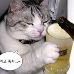 [드루와] 친구 ㅈㄴ 속보여서 웃김 ㅋㅋㅋ