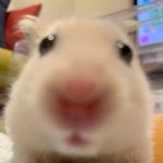 <b>닭발</b> 먹고 싶어