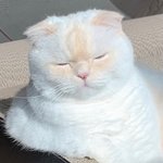 민윤기 <b>미공개</b> 셀카 올린다 다들 보고 가라