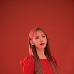 사쿠라 <b>졸업</b>북클릿 존예당
