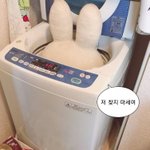 [댓글부탁해] 얘들아 이거 너무 <b>성의</b>없음?