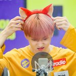 <b>지성이</b>