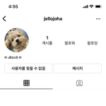 헐 검침원 강아지 <b>젤로</b>? 인스타 사라짐