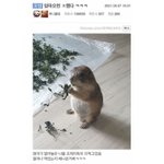 [댓글부탁해] 옷코디올리는애들아 안<b>통통</b>하면서 <b>통통</b>하다고하지마