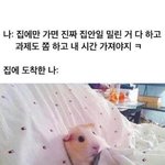 [댓글부탁해] 너네 진짜 아쉬웠던적 있어?