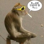 [추반] 면접룩 추반좀