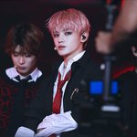 [이태용] 핑크머리 again <b>plz</b>