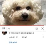 [조언부탁해] 난 복에 겨운 사람인듯