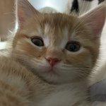 ㅆㅂ 밑에서는 생리하고 위에서는 <b>코피</b> 터지고