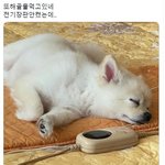 [댓글부탁해] ⁉️쪽팔렸던 썰 풀고가자