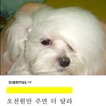 <b>엠</b><b>비티</b>아이 E에게 궁금한점