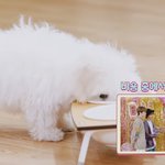 [NCT드림] 아.. <b>대갈</b>쓰 존귀다