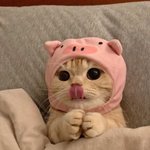 19년째 <b>모솔</b>인 사람 있냐
