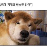 [댓글부탁해] 너네 친구가 약속 <b>파토</b>내면 어칼 거?
