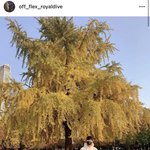 [NCT칠프] 아니 다 <b>로다</b>라길래 그런가 싶었는데 안닮았지않음?