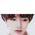 [스키즈] 이 날 언젠지 알려주라!!