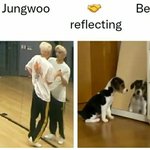 [NCT칠프] ㅌㅇㄴ? 강아지와 강아지