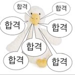 [NCT드림] ㅅㄷ <b>수능철</b> 합격 오리