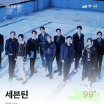 [세븐틴] 나 분철 구했는데