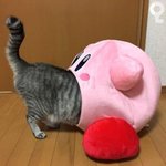 남친이 플라토닉러브 요구하면 들어줄수있냐