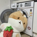 <b>대왕</b>터래기 안고 자면 천국일듯