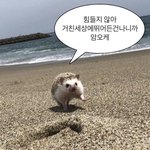 [댓글부탁해] 얘들아 나 잘 할 수 있을까?