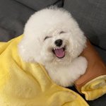 [풀햄보이즈] <b>에드</b> 왤케 웃는거 이쁨 ㅠㅠ