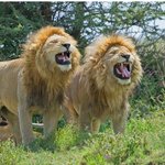 [꼭봐주세요] 불륜의 일상을 <b>블로그</b>에 게시한 푸드인플루언서