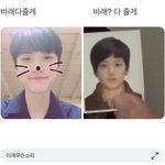 [댓글부탁해] 이너로 <b>입</b>을 <b>기본</b> 폴라티 추천해줄 사람...