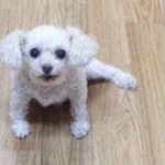 [댓글부탁해] 수능볼<b>때</b>!!!