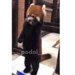 [NCT칠프] 충격! 문태일 <b>체중계</b> 올라간 모습 유출됨