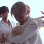 [방탄소년단] 강아지 개부럽ㄷ